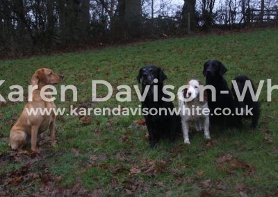 IMG_0003The Team kdw