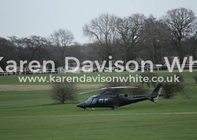 IMG_0049maiden hurdle