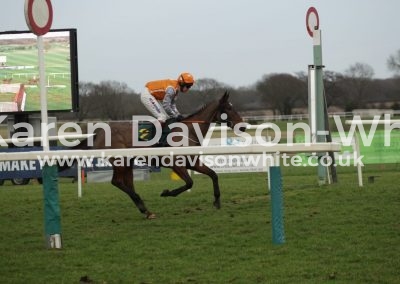 IMG_0109Wood Pigeon Richard Johnson wins hcap steeplechase