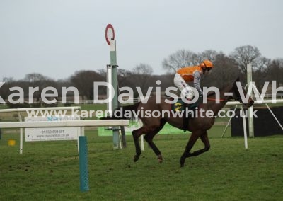IMG_0113Wood Pigeon Richard Johnson