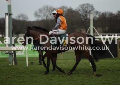 IMG_0133Wood Pigeon Richard Johnson