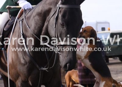 IMG_0347pdw karendavisonwhite