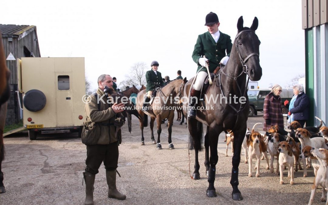Waveney Harriers 3.2.18  Whipper-in hunts hounds. Take one