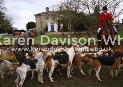 IMG_0977jack with hounds