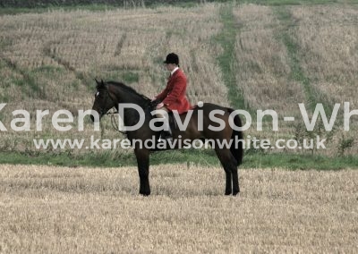 IMG_0998a study of a whipper-in kdwimage