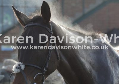 IMG_1343Strawberry Spirit 4th nov hurdle Amy Murphy Newmarket Jack Quinlan rode