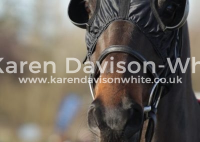 IMG_1356Princeton Royale 2nd hcap chase