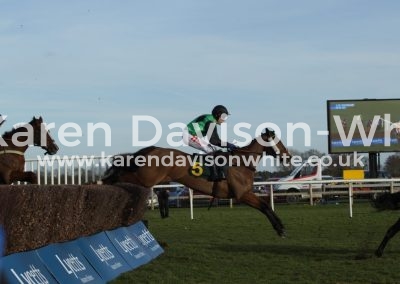 IMG_1385Twenty Eight Guns Scu - won hcapchase