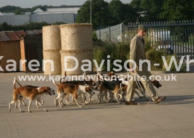 IMG_1935Waveney Harriers karendavisonwhite