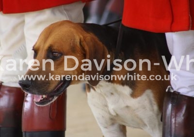 IMG_2200percy karendavisonwhite dhchampion