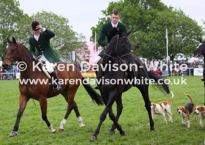 img_2344suffolk-show-13