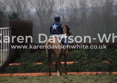 IMG_2349The Master Remover 2nd Restricted karendavisonwhite