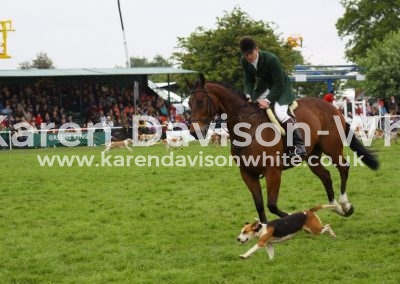 IMG_2374Peter Davison-White suffolk show13karendavisonwhite.co.uk