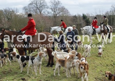 IMG_2683Thurlow foxhounds