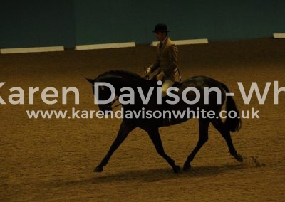 IMG_3462Diamonds are Forever karendavisonwhite