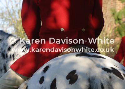 img_3542red-coats-karendavisonwhite