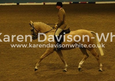 IMG_3567Chainmail karendavisonwhite