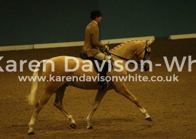 IMG_3608Chainmail karendavisonwhite