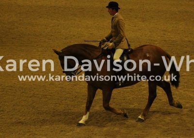 IMG_3729Master of the House karendavisonwhite