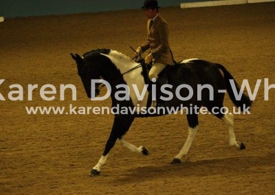 IMG_3775Kellythorpes Master key by Stanhopes Diddicoy karendavisonwhite