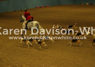 IMG_3843Ben Hood Our Cashel Blue Dunston Harriers karendavisonwhite