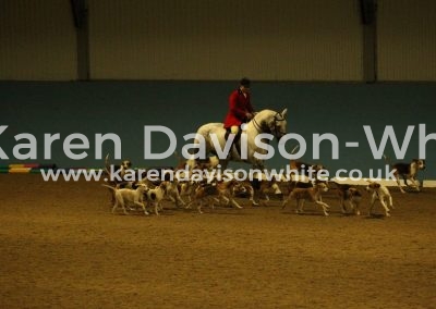 IMG_3849Ben Hood Our Cashel Blue karendavisonwhite