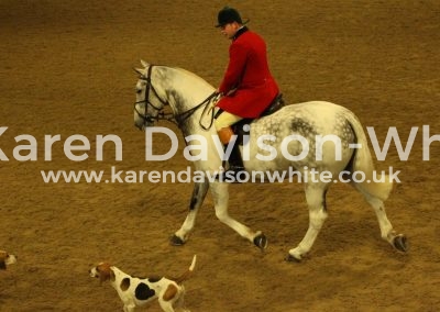 IMG_3872Ben Hood Our Cashel Blue karendavisonwhite