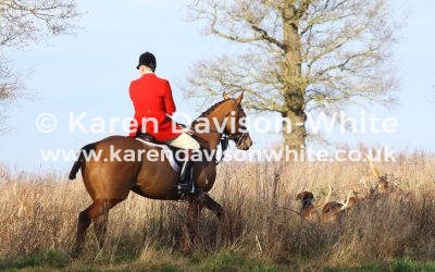 Essex and Suffolk Foxhounds 19.1.19 take two