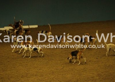 IMG_3926Dunston Harriers karendavisonwhite