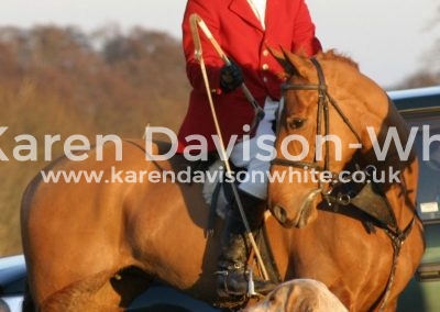 IMG_4005 suffolk wh-in karendavisonwhite