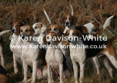 img_4698wavh-karendavisonwhite
