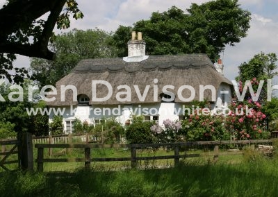 IMG_4774COPYRIGHT KARENDAVISONWHITE.CO.UK