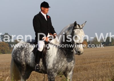 IMG_4976Our Cashel Blue karendavisonwhite