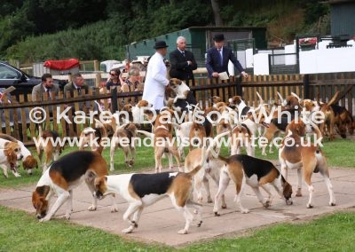 IMG_5261Ross Harriers