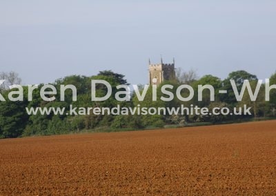IMG_6738rich fertile land lincs kdw