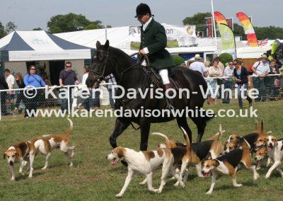 img_7772nick-badger-fairfax-trotting-beside-kdwimage