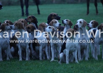 IMG_7848Waveney Harriers karendavisonwhite