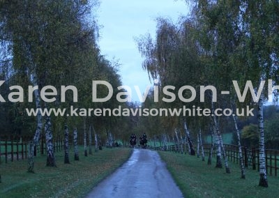 IMG_7984WH karendavisonwhite