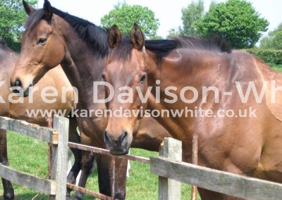 IMG_8328karendavisonwhite