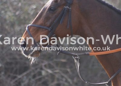 IMG_8817sweep karendavisonwhitemarch 2015