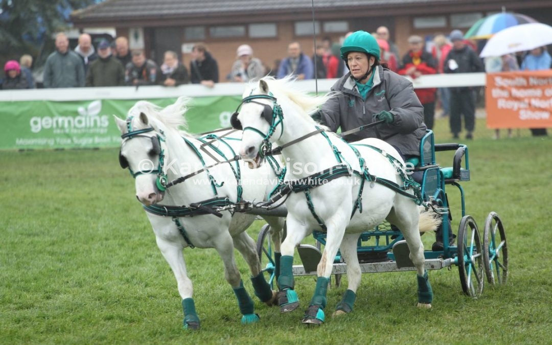 Little taste of Royal Norfolk Show