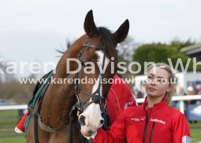 IMG_9887Earlshill Dan Skelton trains