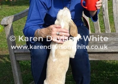 40763804_542374522863162_599639595583275008_n (1)