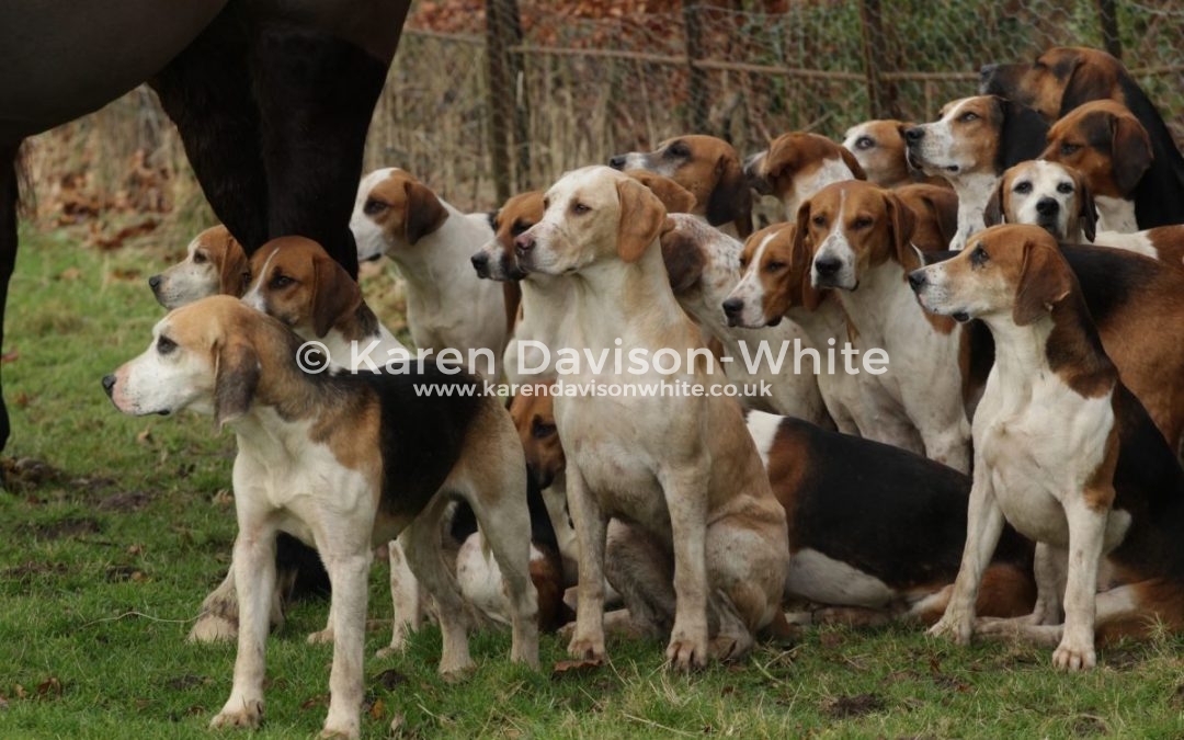 Waveney Harriers at Somerleyton Hall 28.1.18 – take one
