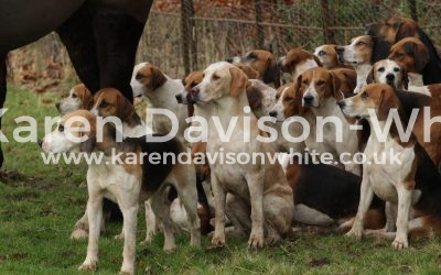 Waveney Harriers at Somerleyton Hall 28.1.18 – take one