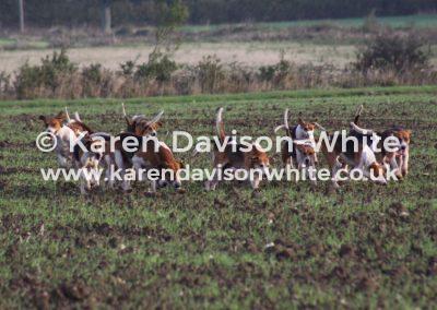 img_0455waveney-harriers-karendavisonwhite-co-uk
