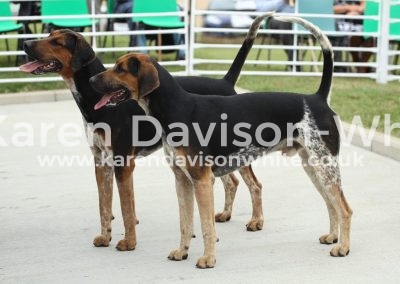 IMG_0528Mohawk and Moleskin karendavisonwhite