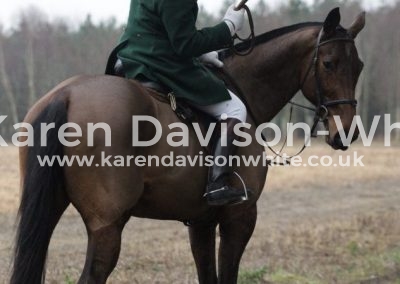 IMG_0580Easton huntsman