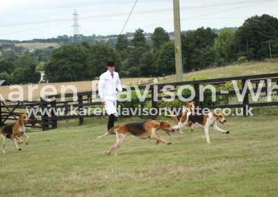 IMG_0592E&S juging of the bitches karendavisonwhite