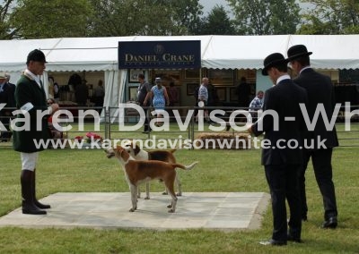 IMG_0710Easton Archer and Argus karendw